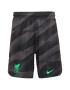 NIKE Pantaloni sport gri metalic / pământiu / verde neon - Pled.ro