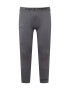 NIKE Pantaloni sport gri / negru - Pled.ro