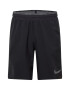 NIKE Pantaloni sport gri / negru - Pled.ro