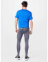 NIKE Pantaloni sport gri / negru - Pled.ro