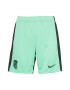 NIKE Pantaloni sport verde mentă / negru - Pled.ro