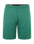 NIKE Pantaloni sport verde / portocaliu - Pled.ro