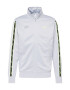 Nike Sportswear Hanorac gri deschis / verde deschis / negru - Pled.ro