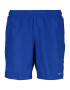 Nike Swim Pantaloni de baie albastru regal - Pled.ro