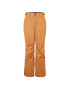 O'NEILL Pantaloni outdoor 'Star' galben miere / negru - Pled.ro