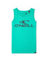 O'NEILL Tricou albastru noapte / verde - Pled.ro