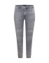 ONLY Carmakoma Jeans 'WILLY' gri deschis - Pled.ro