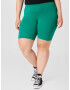 ONLY Carmakoma Leggings 'TIME' verde - Pled.ro