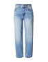 ONLY Jeans 'Robyn' albastru denim - Pled.ro