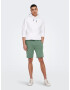 Only & Sons Pantaloni 'Ceres' verde - Pled.ro