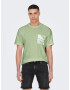 Only & Sons Tricou 'PERRY' verde amestecat / alb murdar - Pled.ro