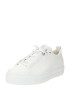 Paul Green Sneaker low '5417-045' gri argintiu / alb - Pled.ro