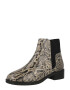 Pepe Jeans Botine 'ORSETT SNAKE' bej - Pled.ro