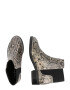 Pepe Jeans Botine 'ORSETT SNAKE' bej - Pled.ro