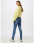 Pepe Jeans Jeans 'NEW BROOKE' albastru denim - Pled.ro