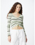 Pepe Jeans Pulover 'Dina' verde pin / verde pastel / alb - Pled.ro