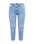 PIECES Curve Jeans 'LUNA' albastru denim - Pled.ro