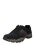 Pius Gabor Sneaker low bleumarin / maro caramel / negru - Pled.ro