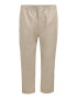 Polo Ralph Lauren Big & Tall Pantaloni bej - Pled.ro