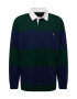 Polo Ralph Lauren Big & Tall Tricou albastru marin / galben auriu / verde pin / alb - Pled.ro