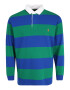 Polo Ralph Lauren Big & Tall Tricou albastru regal / verde / portocaliu - Pled.ro