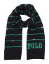 Polo Ralph Lauren Fular bleumarin / verde / rosé - Pled.ro