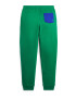 Polo Ralph Lauren Pantaloni albastru regal / verde - Pled.ro