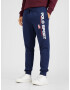 Polo Ralph Lauren Pantaloni bleumarin / albastru închis / roșu / alb - Pled.ro