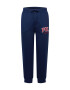 Polo Ralph Lauren Pantaloni bleumarin / roșu / alb - Pled.ro