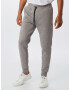 Polo Ralph Lauren Pantaloni 'JOGGERPANTM2-PANT' gri deschis - Pled.ro