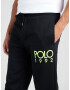 Polo Ralph Lauren Pantaloni 'M2-ATHLETIC' verde iarbă / negru - Pled.ro