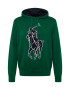 Polo Ralph Lauren Pulover albastru închis / verde / alb - Pled.ro