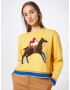 Polo Ralph Lauren Pulover albastru / maro / galben / roșu - Pled.ro