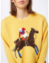 Polo Ralph Lauren Pulover albastru / maro / galben / roșu - Pled.ro