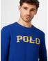 Polo Ralph Lauren Pulover albastru regal / galben / alb - Pled.ro