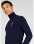 Polo Ralph Lauren Pulover bleumarin / maro - Pled.ro