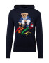 Polo Ralph Lauren Pulover bleumarin / maro / roșu deschis / alb - Pled.ro