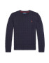 Polo Ralph Lauren Pulover bleumarin / portocaliu homar - Pled.ro