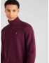 Polo Ralph Lauren Pulover crem / albastru / maro deschis / roșu burgundy - Pled.ro