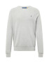 Polo Ralph Lauren Pulover gri / gri deschis - Pled.ro