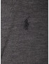 Polo Ralph Lauren Pulover gri metalic / negru - Pled.ro