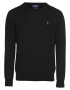 Polo Ralph Lauren Pulover negru / argintiu - Pled.ro