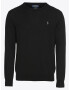 Polo Ralph Lauren Pulover negru / argintiu - Pled.ro