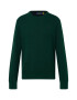 Polo Ralph Lauren Pulover verde smarald - Pled.ro