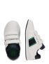 Polo Ralph Lauren Sneaker 'HERITAGE COURT II' bleumarin / maro / verde / alb - Pled.ro