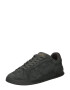 Polo Ralph Lauren Sneaker low auriu / gri metalic - Pled.ro