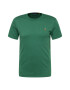 Polo Ralph Lauren Tricou albastru / maro / verde amestecat / alb - Pled.ro