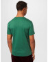 Polo Ralph Lauren Tricou albastru / maro / verde amestecat / alb - Pled.ro