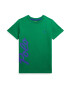 Polo Ralph Lauren Tricou albastru regal / verde iarbă - Pled.ro