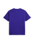 Polo Ralph Lauren Tricou albastru violet - Pled.ro